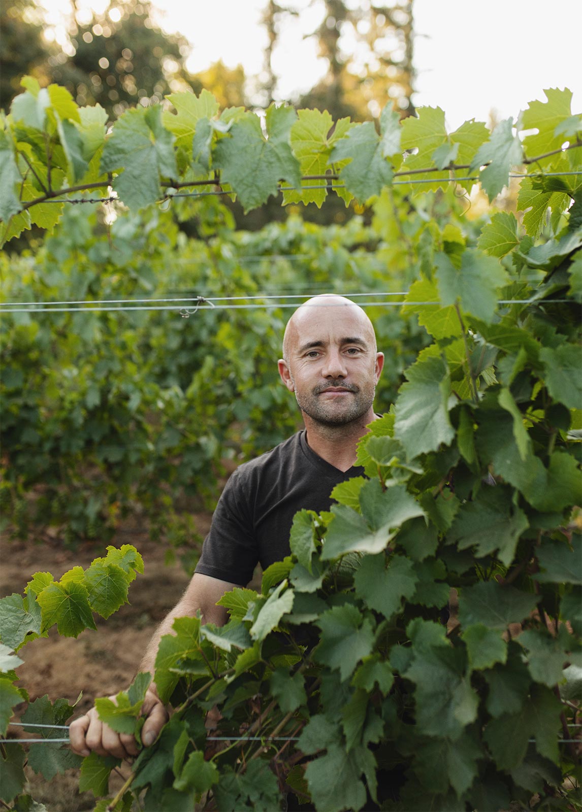 Patrick Blandin the viticulturist and winemaker at Cannon Estate Winery